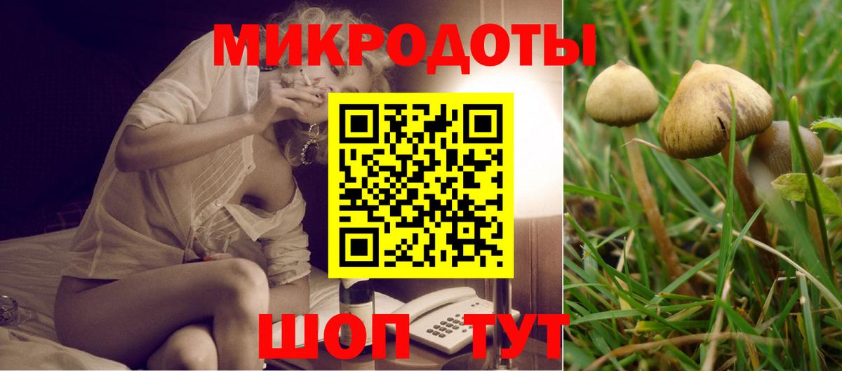 Псилоцибиновые грибы Cubensis  Псилоцибиновые грибы Psilocybe  Вход с VPN  Озёры 